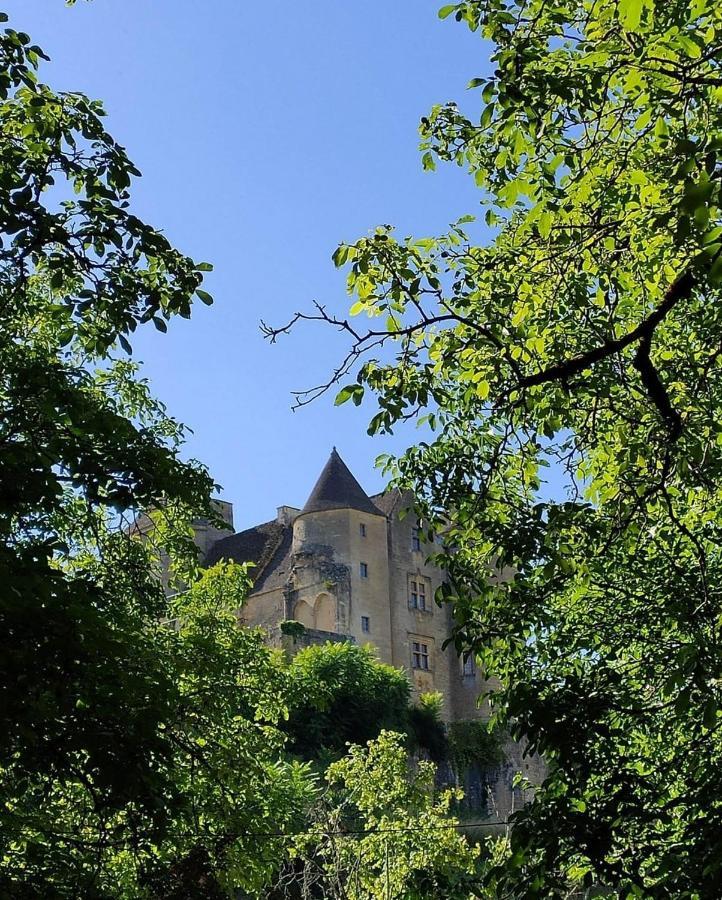Petite Maison En Pierre Au Coeur Du Perigord Noir Proche De Sarlat Et Rocamadour Salignac Eyvigues المظهر الخارجي الصورة