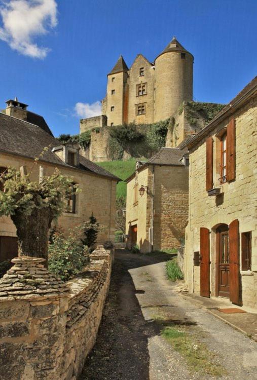 Petite Maison En Pierre Au Coeur Du Perigord Noir Proche De Sarlat Et Rocamadour Salignac Eyvigues المظهر الخارجي الصورة