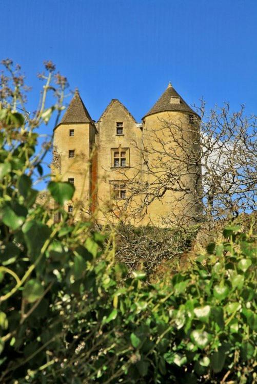 Petite Maison En Pierre Au Coeur Du Perigord Noir Proche De Sarlat Et Rocamadour Salignac Eyvigues المظهر الخارجي الصورة